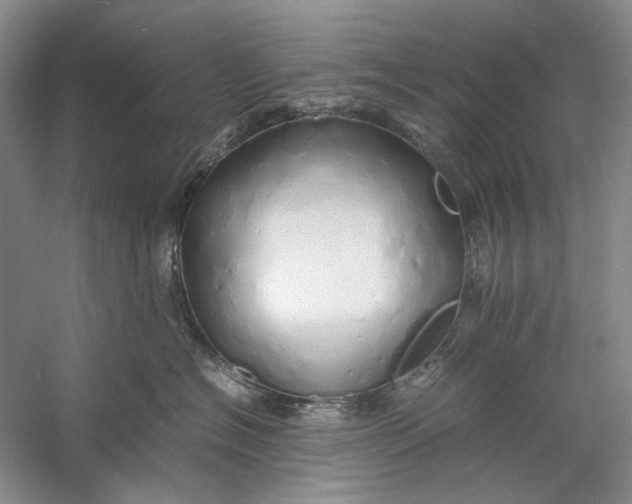 X0000060780574200512011642