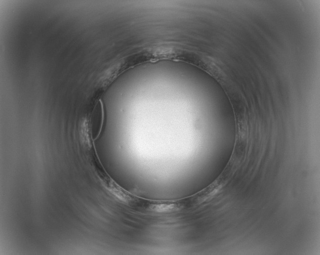 X0000060780575200512011642