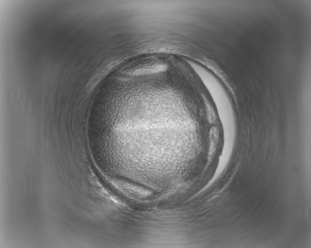 X0000060780577200512011641