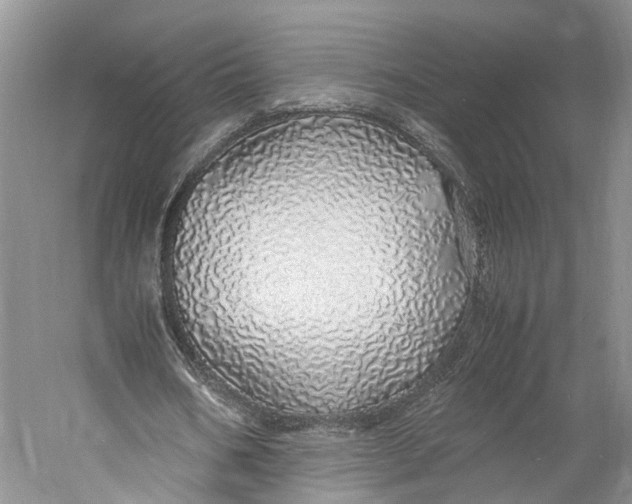 X0000060780578200512011641