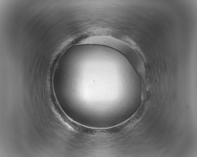 X0000060780581200512011641
