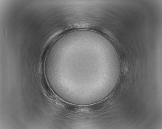 X0000060780583200512011641