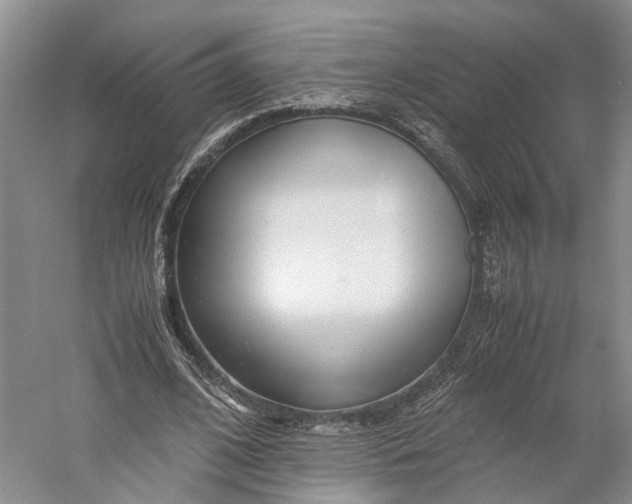 X0000060780584200512011641