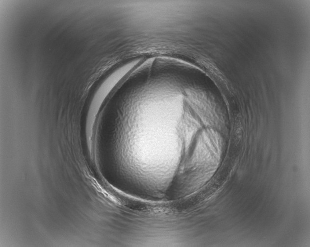 X0000060780585200512011641