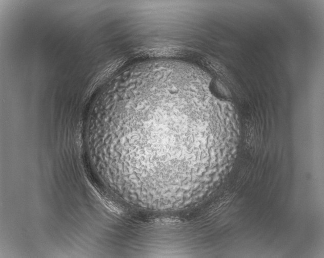 X0000060780586200512011641