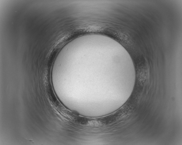 X0000060780591200512011641