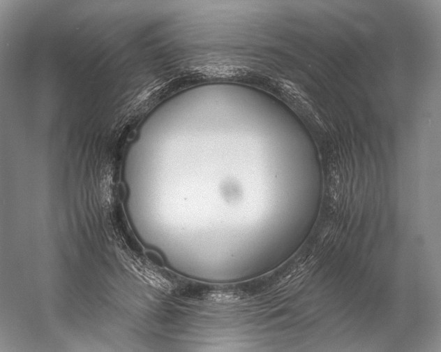 X0000060780596200512011641