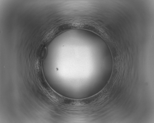 X0000060780597200512011641