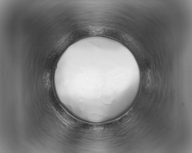 X0000060780598200512011641