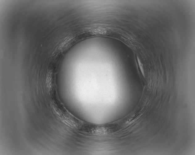 X0000060780600200512011641