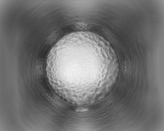 X0000060780602200512011641