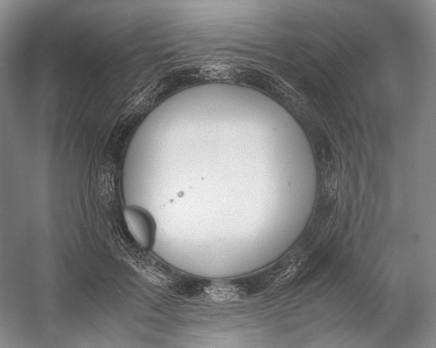 X0000060780603200512011641