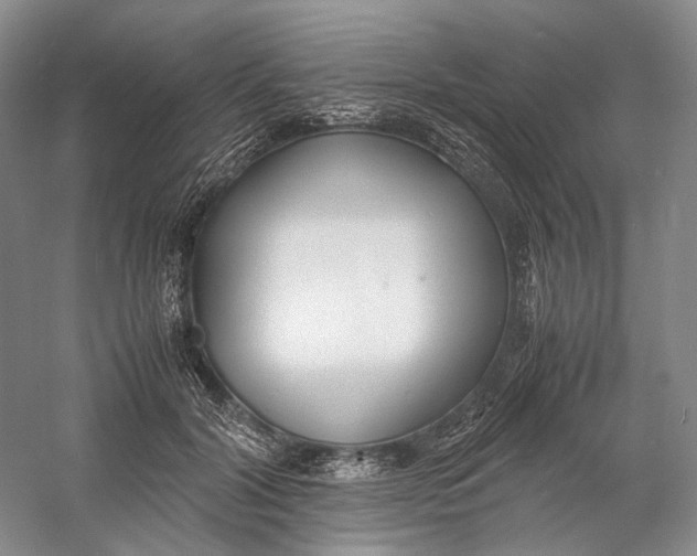 X0000060780604200512011641