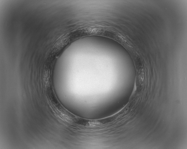 X0000060780605200512011641