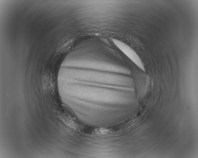 X0000060780607200512011641