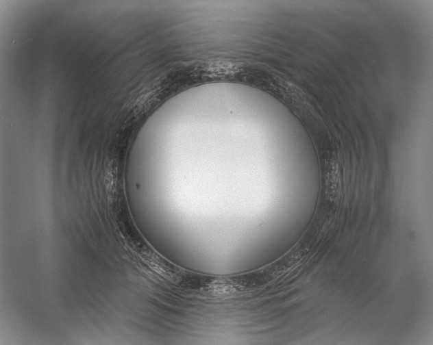 X0000060780608200512011641