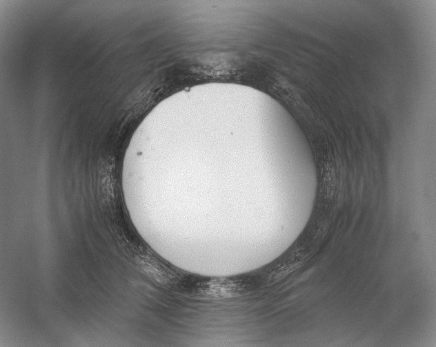 X0000060780612200512011641
