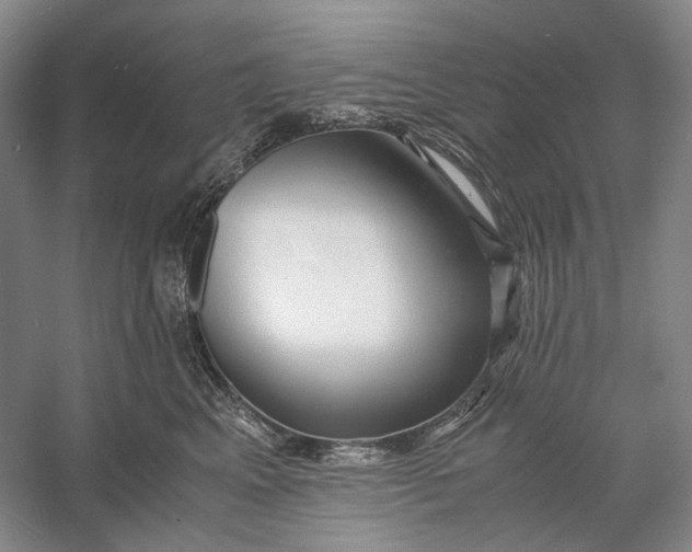 X0000060780617200512011641