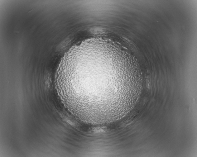 X0000060780618200512011641