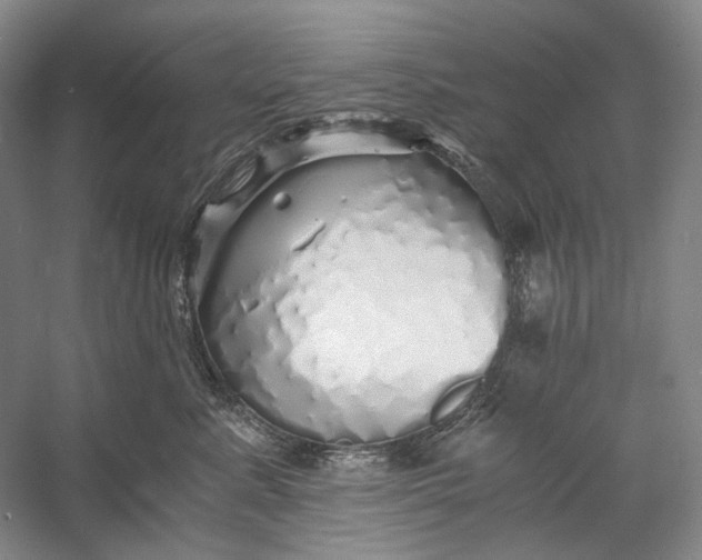 X0000060780619200512011641