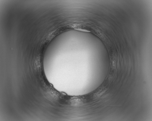 X0000060780620200512011641