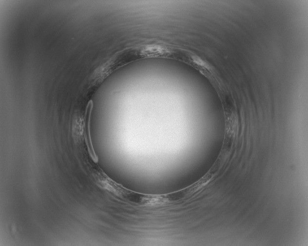 X0000060780621200512011640