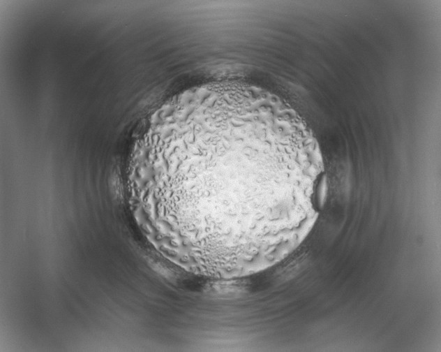 X0000060780622200512011640