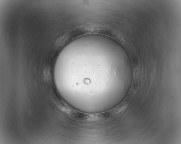 X0000060780623200512011640