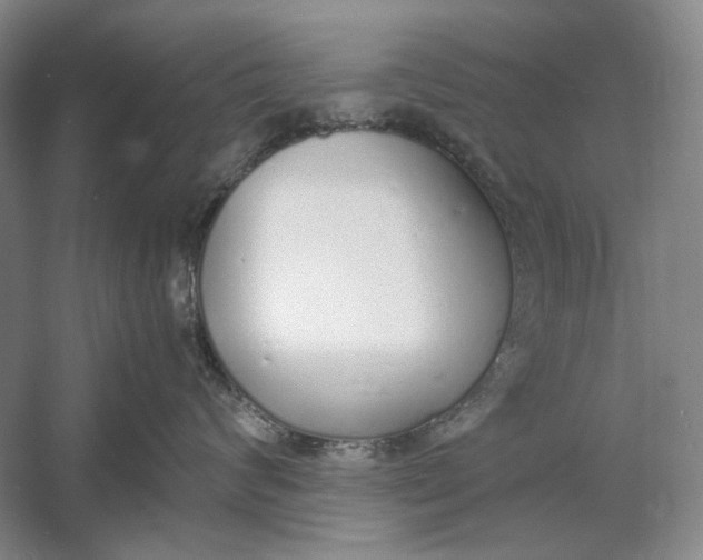 X0000060780624200512011640