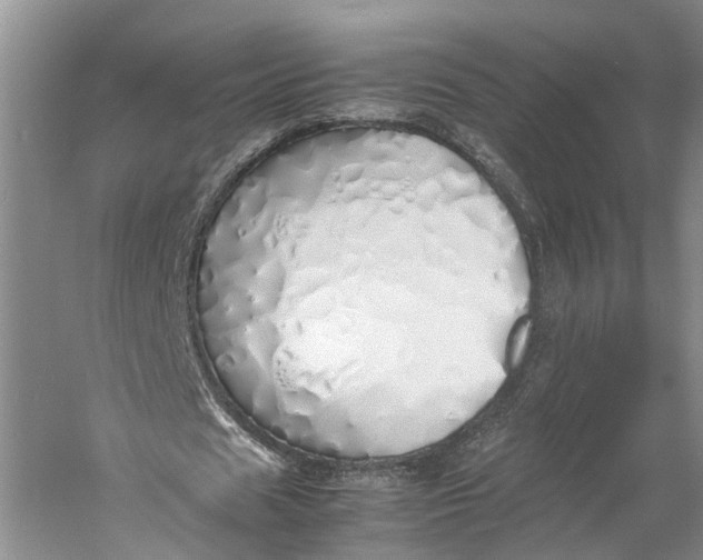X0000060780625200512011640