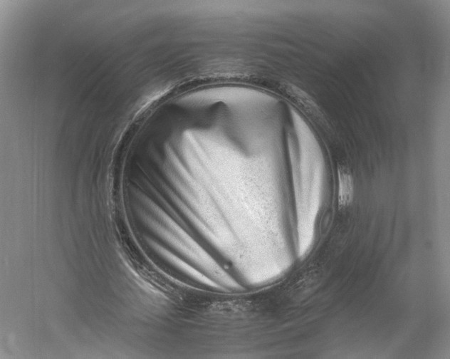 X0000060780627200512011640