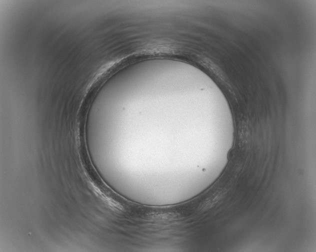 X0000060780629200512011640