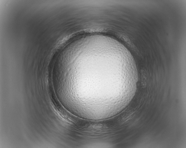 X0000060780631200512011640