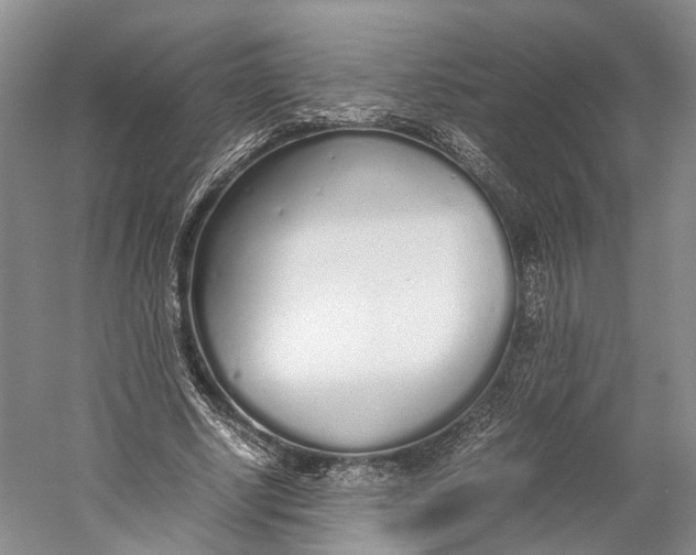 X0000060780634200512011640
