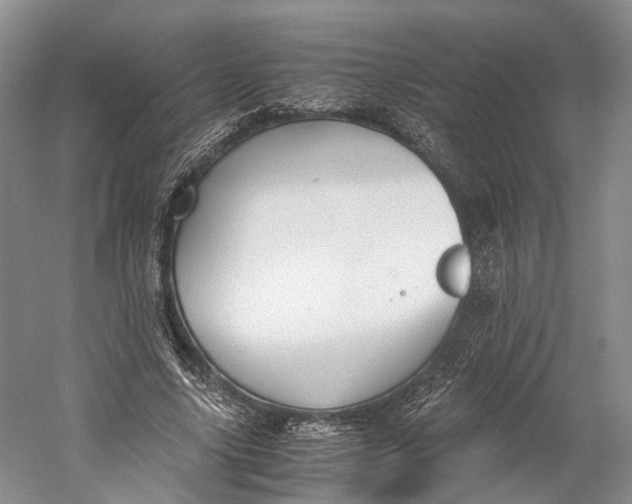 X0000060780635200512011640