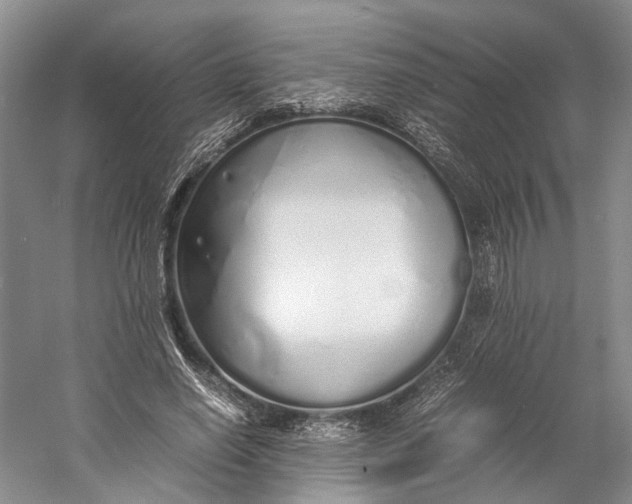 X0000060780638200512011640