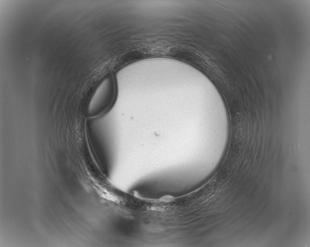 X0000060780641200512011640