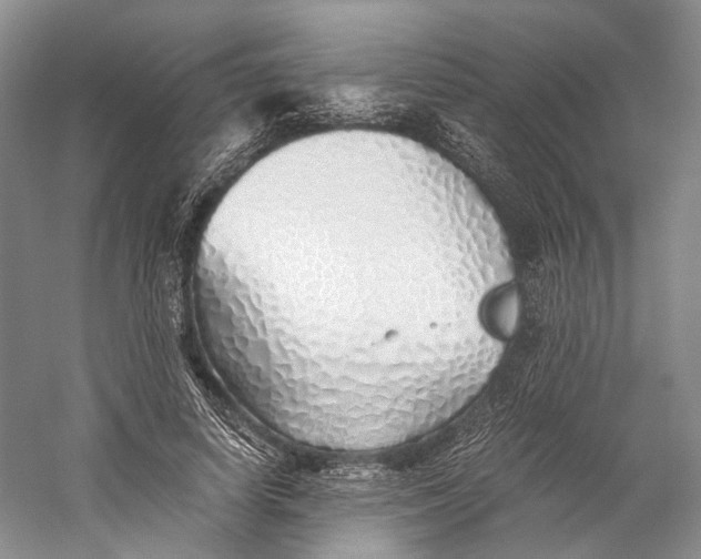 X0000060780642200512011640