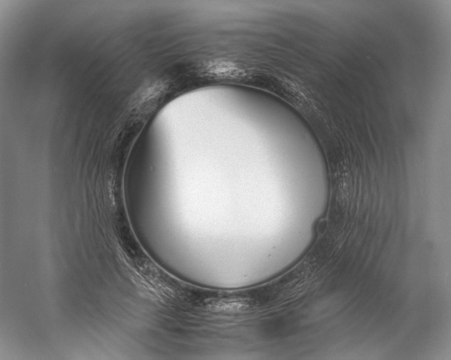 X0000060780643200512011640
