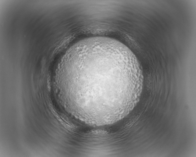 X0000060780644200512011640