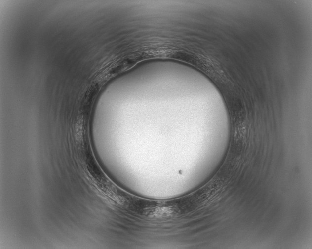 X0000060780647200512011640