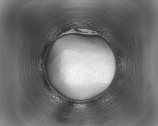 X0000060780649200512011640