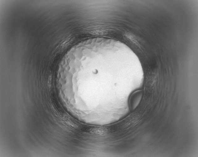 X0000060780652200512011640