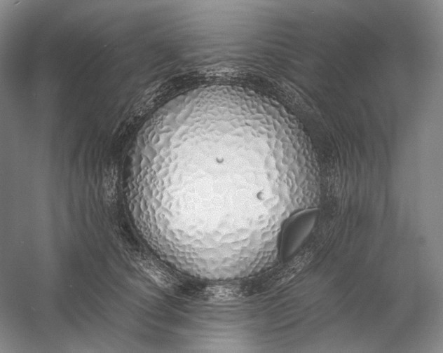 X0000060780660200512011640