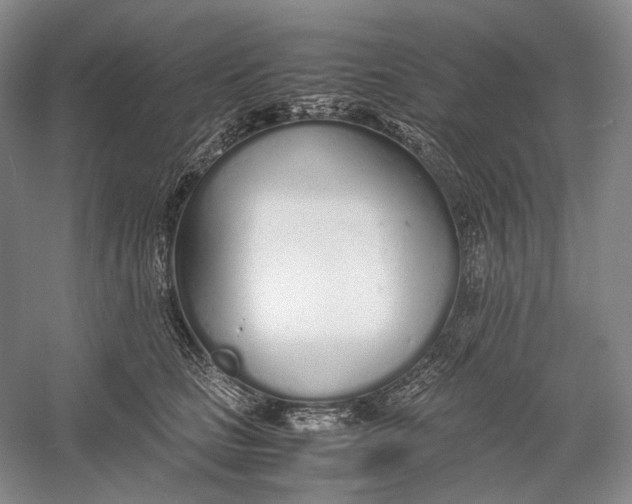 X0000060780661200512011640