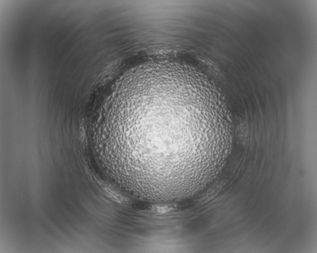 X0000060780662200512011640