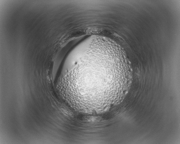 X0000060780663200512011640