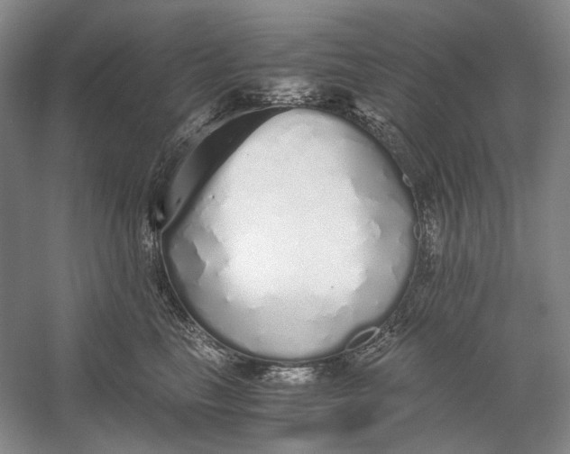 X0000060780665200512011640