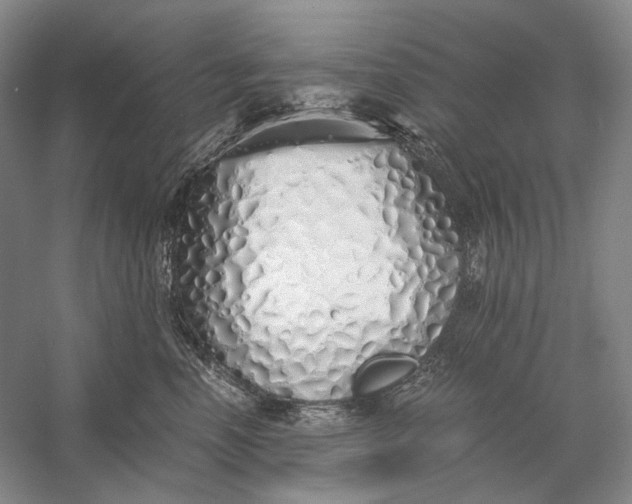 X0000060780666200512011640