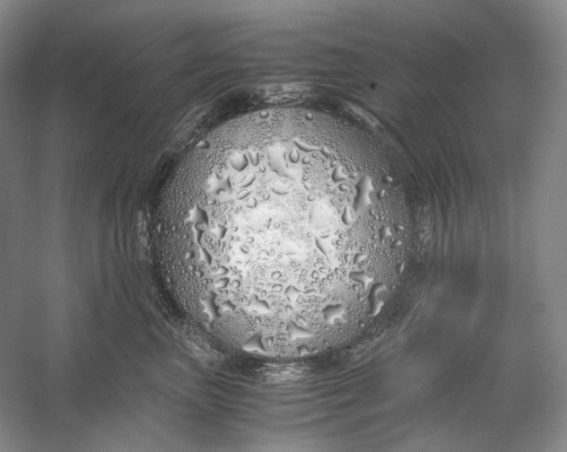 X0000060780667200512011640